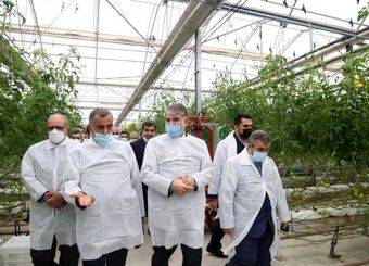 بازدید وزیر جهاد کشاورزی از مجتمع گلخانه ای سبزی و صیفی دشت ناز در میاندرود