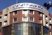  خریداری باغ و مسکن از سوی شرکت بورس کالا!