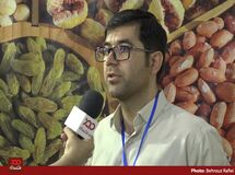 زمانی صادر کننده گردو بودیم ولی امروز مجبوریم وارد کنیم