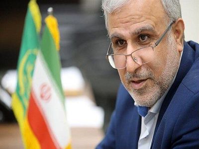شرکت "آریو تجارت سهیل" حتی یک دلار هم ارز نگرفته/ هفته گذشته همه تعهدات این شرکت را گرفتیم و به شرکت پشتیبانی امور دام دادیم