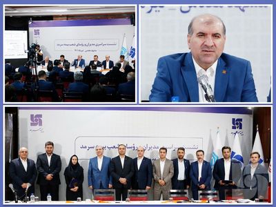 رشد درآمد برای رسیدن به سود آوری پایدار در بیمه سرمد