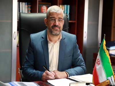 نباید بازار طلا را منطقه ممنوعه تجارت الکترونیک کنیم