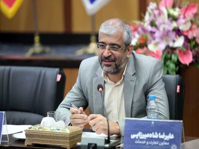 وارد کنندگان خودرو موظفند شبکه تعمیرگاه داشته باشند و کاملا مجهز به فروشگاه‌های اینترنتی و پلتفرم‌ها باشند