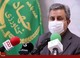برنامه ما خودکفایی پایدار در گندم طی سه سال آینده است/ کاهش ۴۶ درصدی قیمت کود