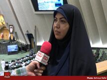 نمایندگان مجلس از زمان اجرای طرح "دارویار" خبر نداشتند