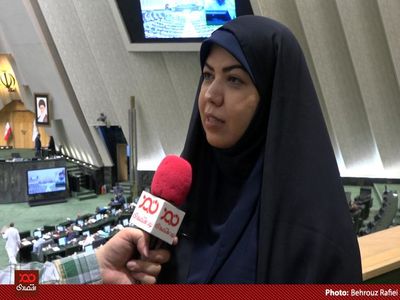 نمایندگان مجلس از زمان اجرای طرح "دارویار" خبر نداشتند