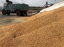 مطالبات ارزی واردکنندگان نهاده های دامی را پرداخت کنید