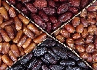 ایران سومین تولیدکننده و دومین صادرکننده بزرگ خرما در جهان 
