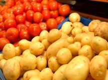 تعرفه برای صادرات گوجه، سیب زمینی و پیاز موقتی است
