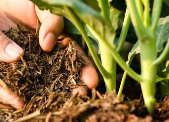 اکثر کودهای موجود در جهان را می‌توانیم تولید کنیم ولی دولت به ما اجازه صادرات نمی‌دهد