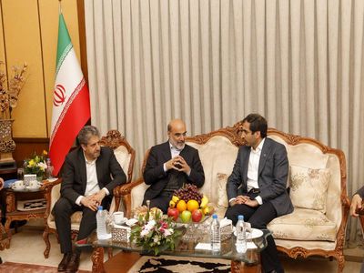 تامین مالی بین‌المللی صنایع پتروشیمی توسط بانک صادرات ایران