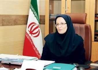 پیش بینی 100 هزار میلیارد تومان درآمد از محل مولدسازی غیر کارشناسی است