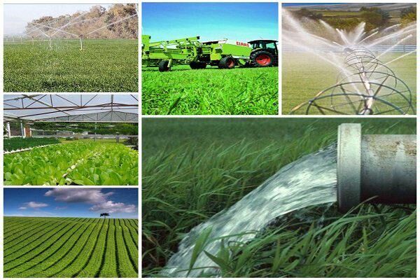  غذای ۱۸ میلیون نفر با ضایعات کشاورزی هدر می‌رود