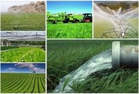  غذای ۱۸ میلیون نفر با ضایعات کشاورزی هدر می‌رود