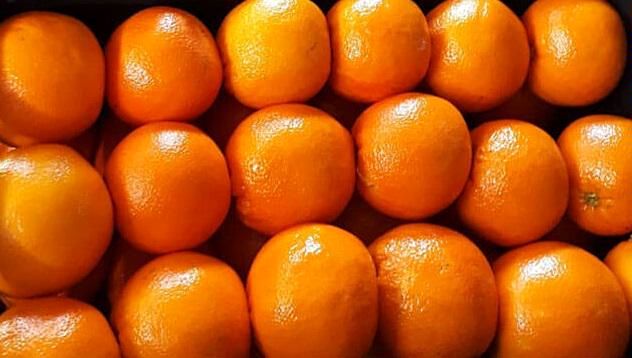 از ۷۰۰ هزار تن پرتقال مازاد فقط ۳۰۰ هزار تن آن صادر میشود