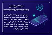راه‌اندازی سامانه پیامکی برای اعلام متخلفین فروش مرغ بالاتر از قیمت مصوب