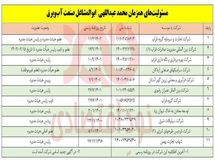 ابوالمشاغل صنعت آب و برق با ۱۱ شغل همزمان