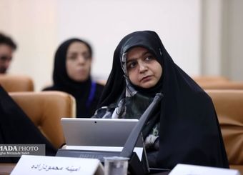 30 درصد کل تسهلات اعطایی، از جنس تسهیلات کلان است