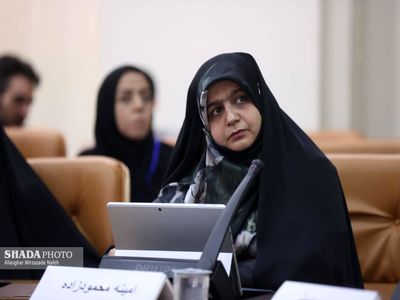 30 درصد کل تسهلات اعطایی، از جنس تسهیلات کلان است