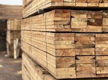 پرسال بزرگترین تامین کننده چوب ترموود