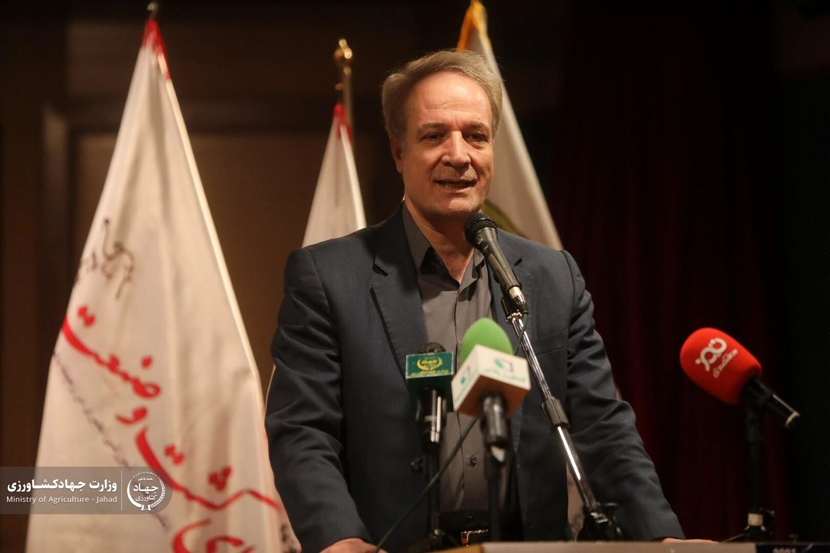 ۱۰۰ هزار تن تخم‌مرغ صادر شد/ مشکلات روستاها روی تولید گوشت قرمز اثر گذاشته