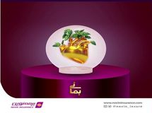 جایگزینی برای بیمه‌های عمر و حوادث با قابلیت برگشت کامل حق بیمه