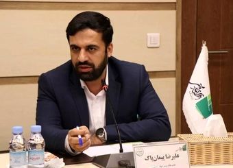 ارز کالاهای اساسی تا مرداد 1403 تامین شده است