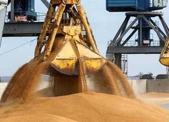 اتحادیه اروپا برای واردات غلات از روسیه و بلاروس، تعرفه وضع می کند