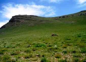 لرستان در صدر یکپارچه‌سازی اراضی کشاورزی