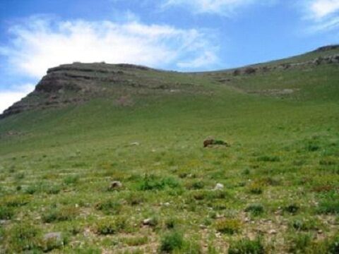 لرستان در صدر یکپارچه‌سازی اراضی کشاورزی