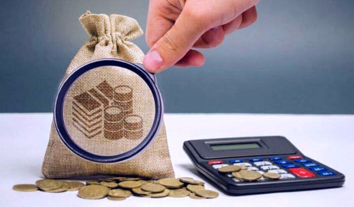 انتخاب محل مصرف مالیات توسط مالیات‌دهندگان عملیاتی شد