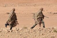 تروریسم فقط انفجار پیجر نیست، تروریسم غذایی هم کشور را تهدید می‌کند