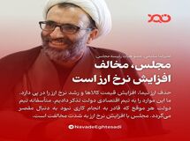 مجلس با افزایش نرخ ارز مخالف است