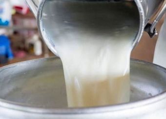 سالانه ۲.۴ میلیون تن شیر از کشور صادر می‌شود