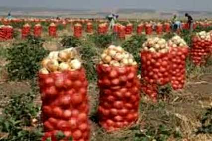 تکرار تراژدیهای کشاورزان با بازیگری وزارت جهاد؛ اشکی که پیاز درآورد
