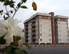 ابهام نرخ رسمی اجاره در فصل جابه‌جایی؛ مستاجران بلاتکلیف‌اند