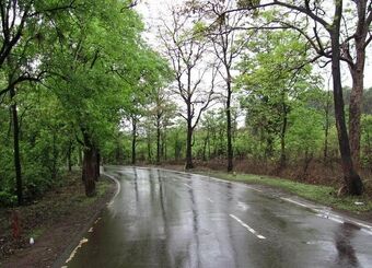 امسال بارش کشور حدود ۴۷ درصد، کمتر از متوسط بود