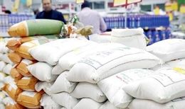 تعزیرات از دلیل افزایش قیمت برنج پرده برداشت