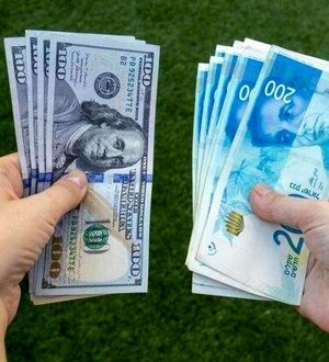 حذف ارز ۴۲۰۰ تومانی به شهید رئیسی تحمیل شد