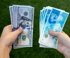 حذف ارز ۴۲۰۰ تومانی به شهید رئیسی تحمیل شد