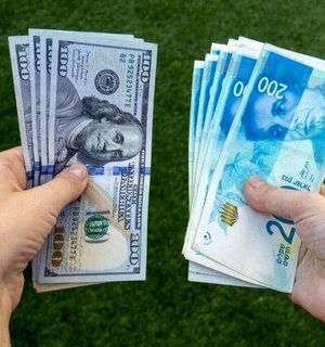 حذف ارز ۴۲۰۰ تومانی به شهید رئیسی تحمیل شد