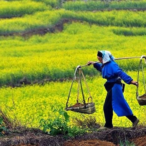 ۵ شغل پردرآمد کشاورزی که زندگی‌تان را متحول می‌کند
