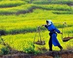 ۵ شغل پردرآمد کشاورزی که زندگی‌تان را متحول می‌کند
