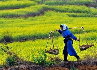 ۵ شغل پردرآمد کشاورزی که زندگی‌تان را متحول می‌کند
