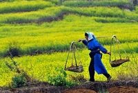 ۵ شغل پردرآمد کشاورزی که زندگی‌تان را متحول می‌کند

