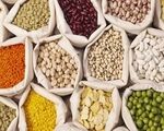 انحصار در واردات؛ قیمت حبوبات در ایران ۷ برابر قیمت جهانی است!