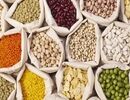 انحصار در واردات؛ قیمت حبوبات در ایران ۷ برابر قیمت جهانی است!