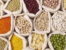 انحصار در واردات؛ قیمت حبوبات در ایران ۷ برابر قیمت جهانی است!