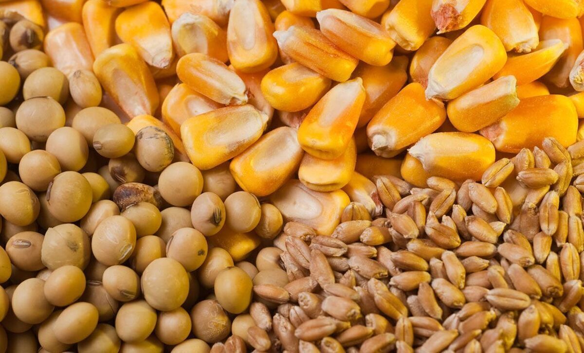 نهاده‌های فروخته شده گران نمی‌شود
