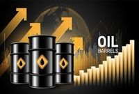 افزایش قیمت نفت در پی کاهش سرعت رشد تولید اوپک پلاس
